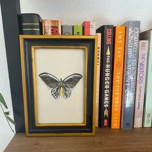 Vintage framed butterfly print